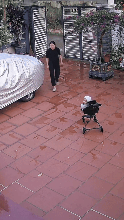 Cư dân mạng nói đùa rằng người trưởng thành nhất trong nhà này chính là... em bé