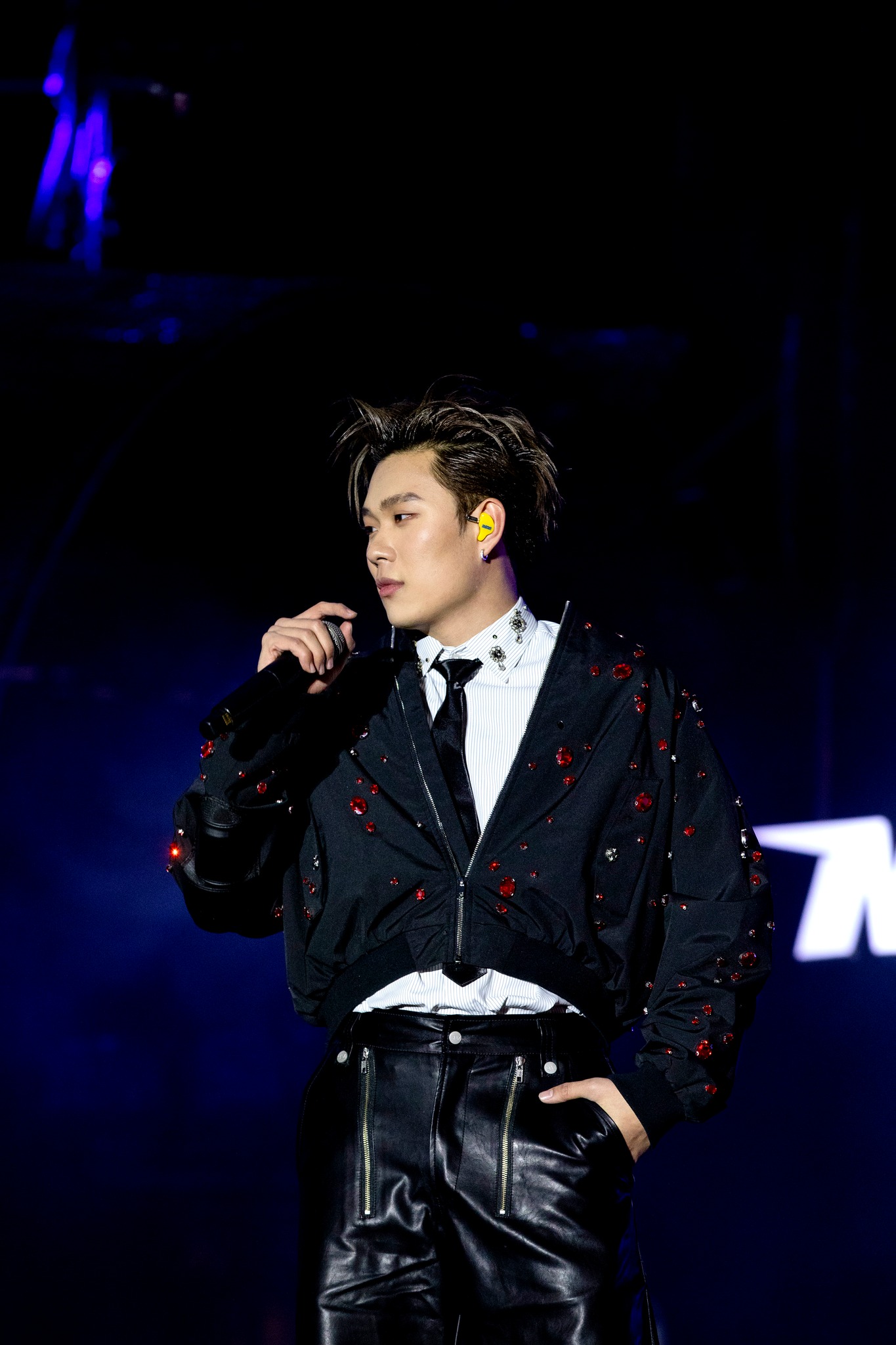 Dương Domic hiện tại