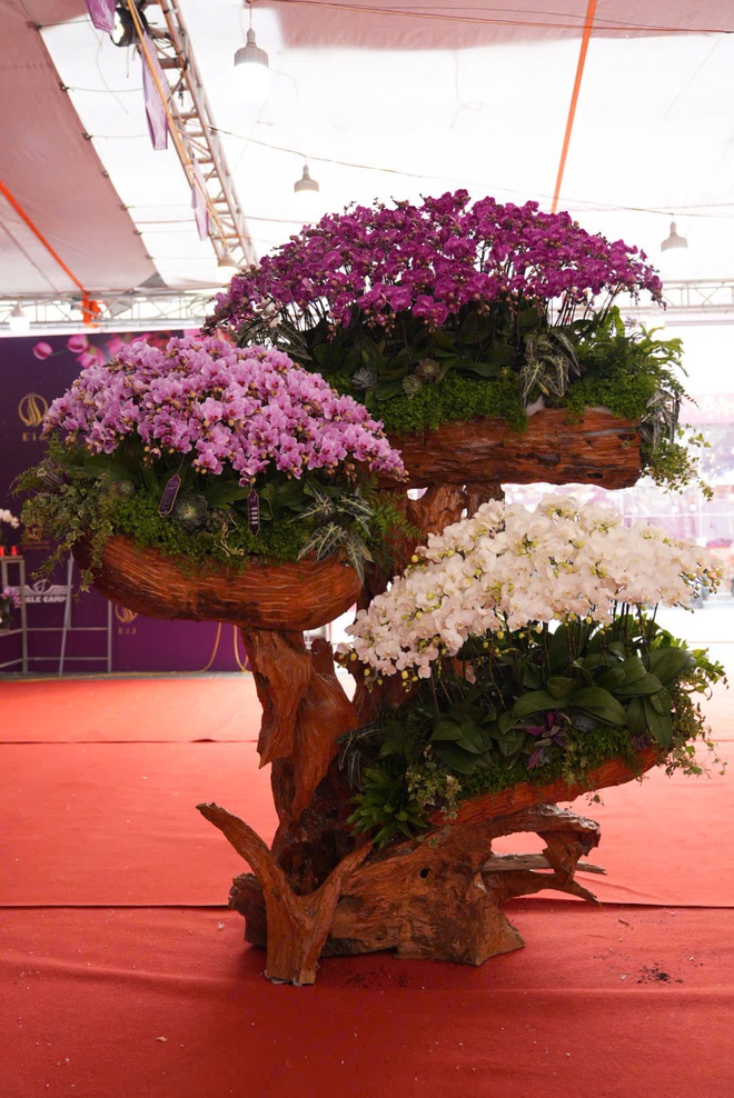 Hoa lan được các nghệ nhân trang trí cầu kỳ, bắt mắt.