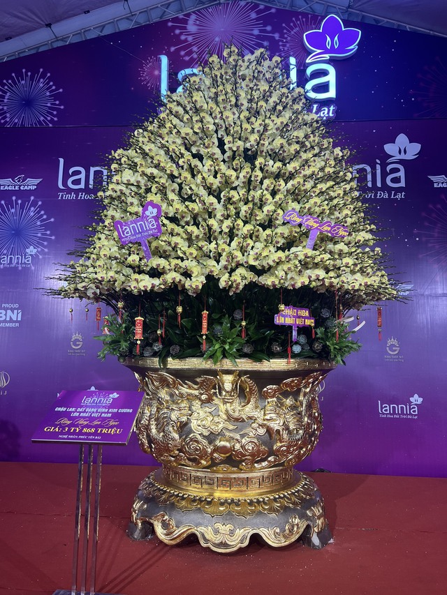 Tại một gian hàng bán hoa Tết tại đường Lê Quang Đạo (Nam Từ Liêm, Hà Nội) xuất hiện chậu hoa lan hồ điệp có giá 