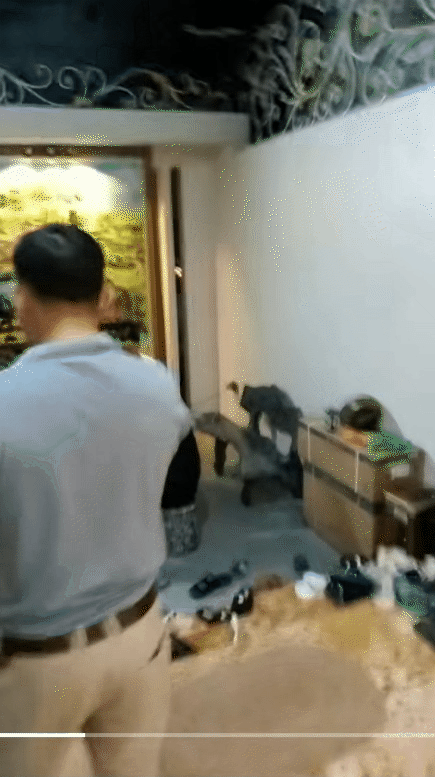 (Nguồn: @duoclieungamtaybac)