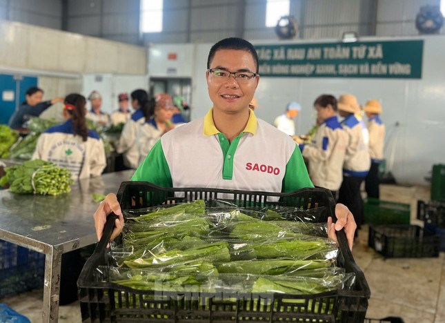 Anh Nguyễn Văn Nghĩa - Giám đốc HTX rau an toàn Tứ Xã cho biết, chúng tôi trồng và chăm sóc, sản xuất theo tiêu chuẩn VietGap. Tương lai hướng đến hình thành một vùng chuyên canh rau an toàn quy mô lớn, tận dụng nguồn tài nguyên sẵn có và nguồn lực hỗ trợ của chính quyền địa phương.