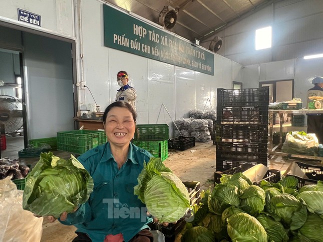 Rau sau khi thu hoạch sẽ được chuyển về khu xưởng để đóng gói mang đi giao cho các siêu thị và hơn 30 chuỗi cửa hàng thực phẩm sạch ký liên kết tiêu thụ; đạt doanh thu khoảng 15 tỷ mỗi năm.