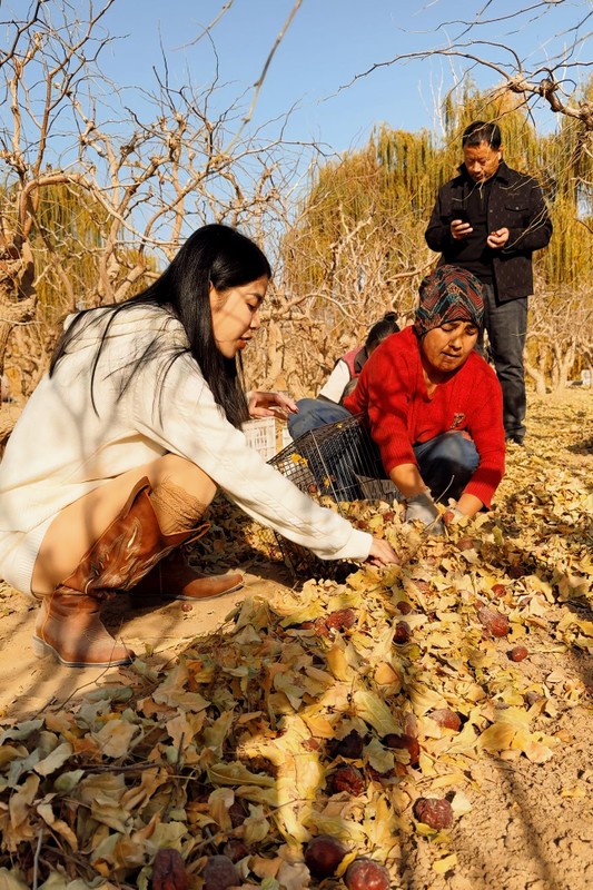 Cô nàng từng có mặt tại vườn để phát sóng trực tiếp đến người mua hàng.