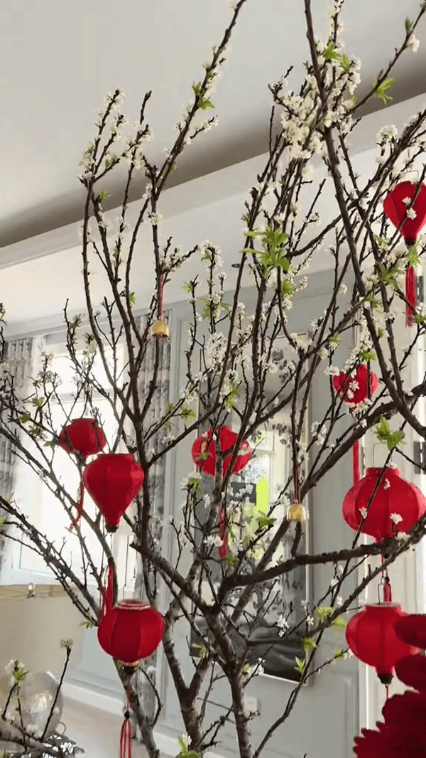 Bình hoa mận to đẹp được đặt ngay giữa nhà, với những bông hoa nở rộ cùng những chiếc đèn lồng đỏ rực rỡ, tạo nên một không gian vô cùng nổi bật và xinh xắn
