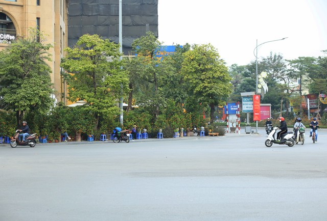 Những ngày trở lại đây, tại các tuyến đường như Lạc Long Quân, Âu Cơ, Mỹ Đình, Phạm Hùng,... đến chợ hoa Quảng An được nhuộm sắc vàng cam của những chậu bưởi, chậu quất cảnh