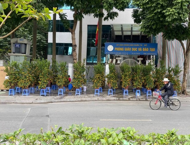 Ghi nhận tại tuyến đường Lạc Long Quân (quận Tây Hồ, Hà Nội), rất nhiều tiểu thương bày bán chậu quất cảnh để phục vụ nhu cầu chơi cây cảnh vào dịp Tết của người dân