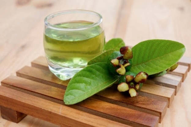 Lá ổi thường được dùng để pha trà. Ảnh: Istock