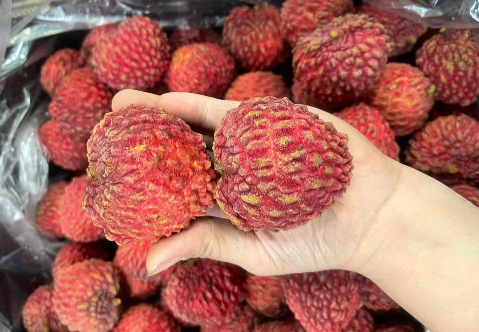 1kg vải thiều nhập khẩu có giá từ 1-1,2 triệu đồng. Ảnh: NVCC