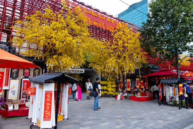 Những ngày Tết Nguyên đán Ất Tỵ cận kề, một đoạn đường Phạm Ngọc Thạch và khuôn viên Nhà văn hoá Thanh niên TP HCM (quận 1) rộn ràng không khí Tết. Mỗi ngày, có rất đông đông các bạn trẻ diện áo dài đến Nhà văn hóa Thanh niên TP HCM để check-in.