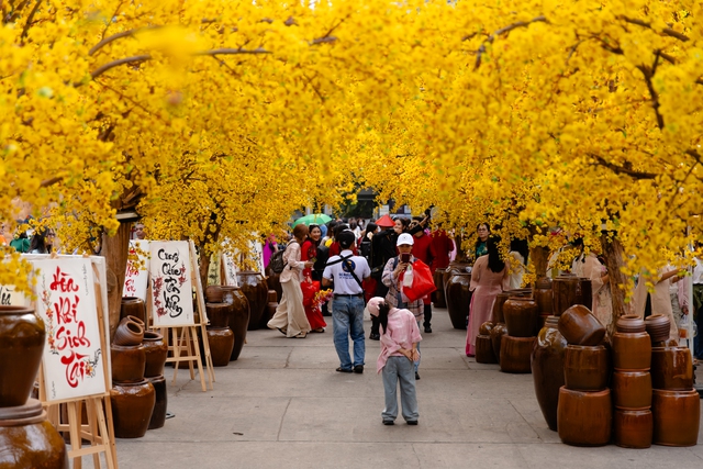 Con đường rợp sắc hoa mai để mọi người tận hưởng không khí tết, ngắm hoa Mai là thấy tết.