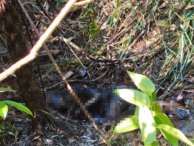 Thi thể cháy đen trong rừng ở xã Lộc Châu.