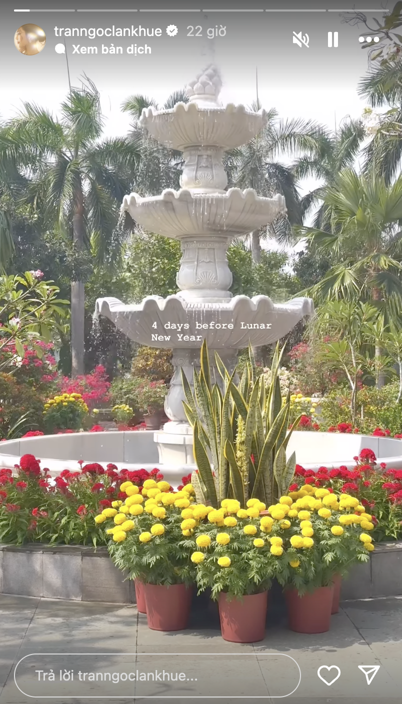 Căn nhà càng nổi bật hơn khi được trang trí bởi các loại hoa tươi.