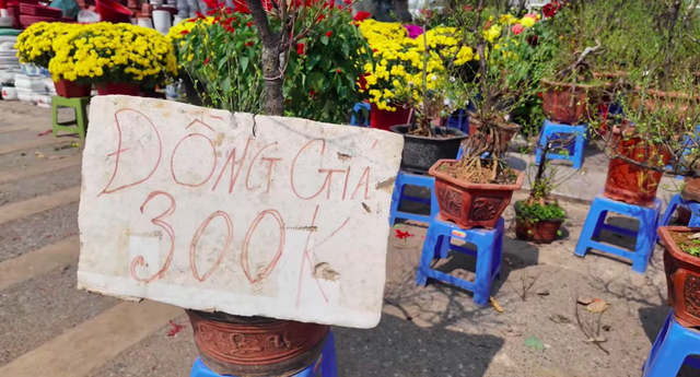 Biển đồng giá, xả hàng đã được tiểu thương treo