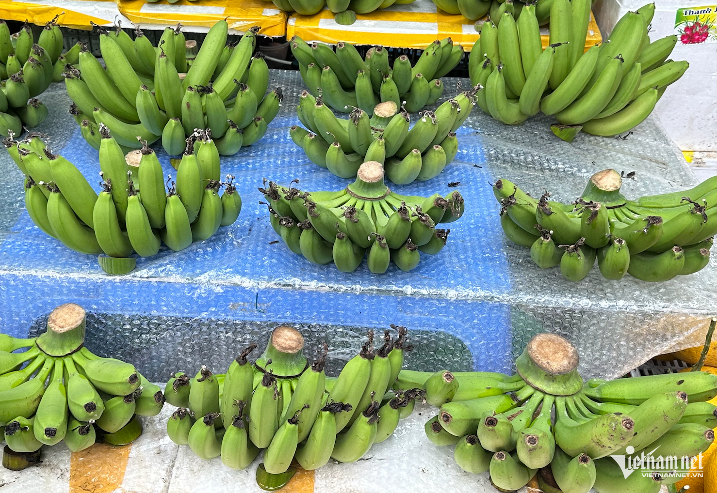 Giá chuối xanh ở chợ Tết siêu đắt đỏ. Ảnh: Tâm An