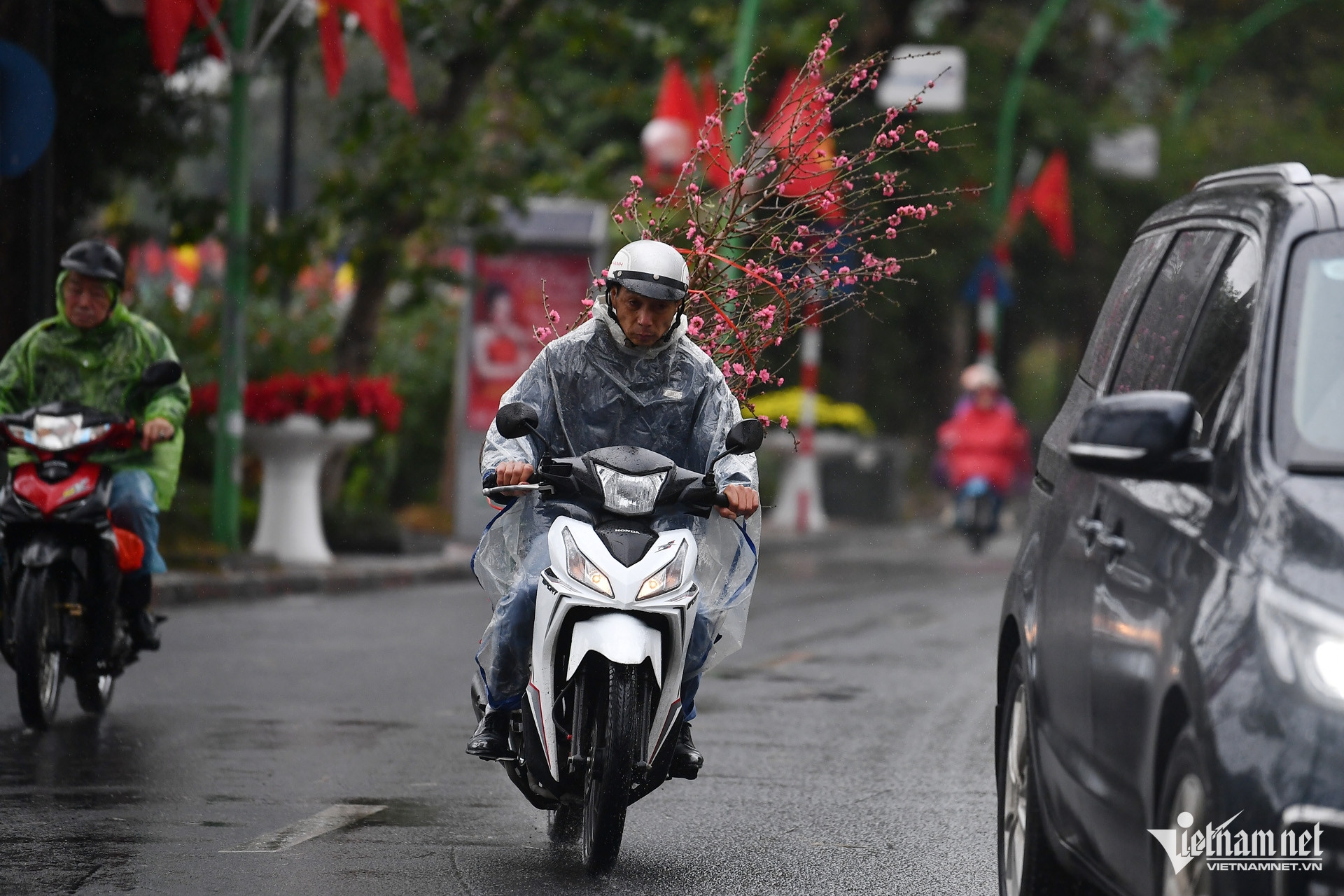 Trên đường Thanh Niên, cây cảnh được chở qua lại tấp nập từ hướng phố Nghi Tàm, Yên Phụ về phía ngã ba Thụy Khuê - Quán Thánh.