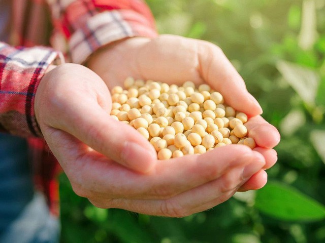 Lời khuyên của các chuyên gia dinh dưỡng để cải thiện sức khỏe trong năm mới - 1 Lời khuyên của các chuyên gia dinh dưỡng để cải thiện sức khỏe trong năm mới - 1