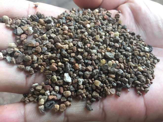 Ớn lạnh khi xem cách sản xuất cà phê nhuộm than pin - 1 Ớn lạnh khi xem cách sản xuất cà phê nhuộm than pin - 1