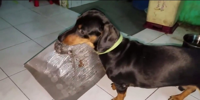 Câu chuyện boss lầy: Khi bạn ra sức bắt chuột và muốn khoe sen nhưng lại bị dính luôn vào bẫy Câu chuyện boss lầy: Khi bạn ra sức bắt chuột và muốn khoe sen nhưng lại bị dính luôn vào bẫy
