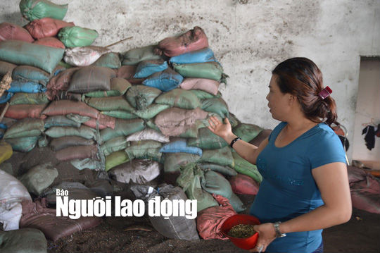 Vợ chồng bị nghi nhuộm tạp chất với than pin sản xuất cà phê nói gì?