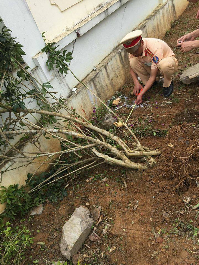 Mẹ của học sinh lớp 1 bị thương vì cô giáo lùi xe: Đau xót khi đến trường thấy con khóc đến kiệt sức, máu chảy khắp người