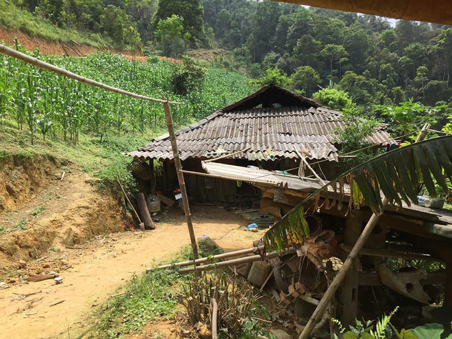 Bố của đối tượng sát hại 4 người ở Cao Bằng: Nghe tin con trai giết người, vợ tôi ngất lên ngất xuống đến 5 lần, đau đớn lắm