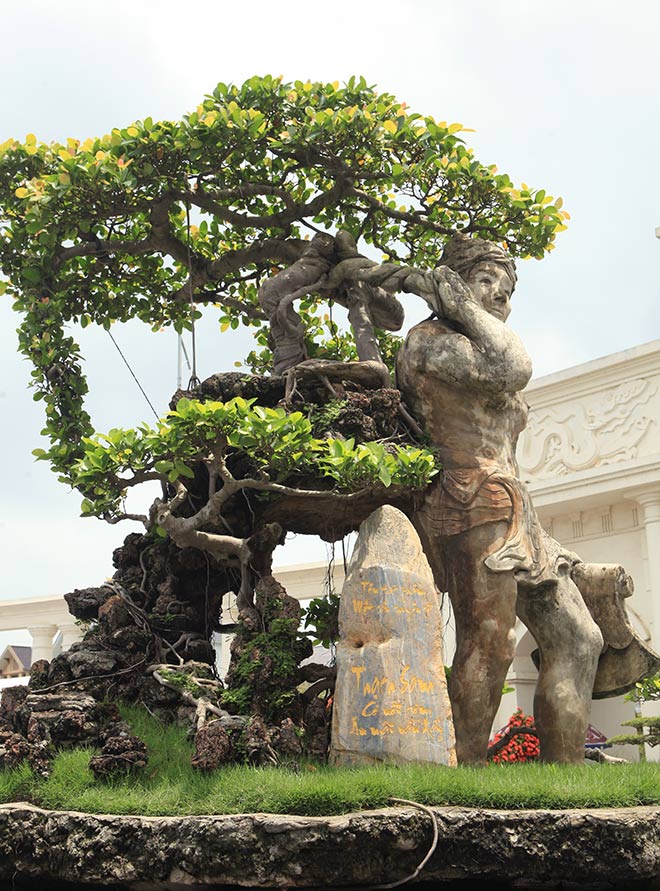 Xôn xao cây Thạch Sanh được báo giá hơn 4 tỉ ở Hải Dương