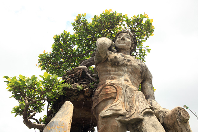 Xôn xao cây Thạch Sanh được báo giá hơn 4 tỉ ở Hải Dương