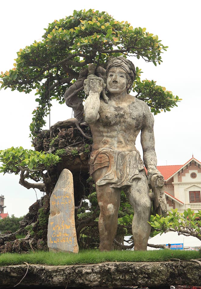 Xôn xao cây Thạch Sanh được báo giá hơn 4 tỉ ở Hải Dương