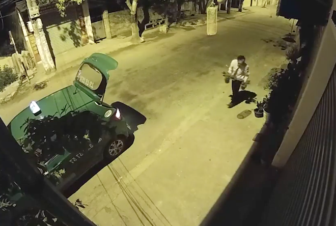 Xôn xao clip tài xế taxi Mai Linh ở Nghệ An trộm 4 chậu cây cảnh của nhà dân
