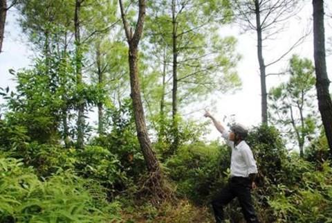 Khai quật thi thể nữ kế toán: Hé lộ từ luật sư