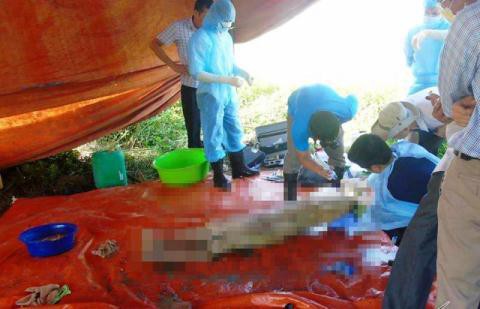 Vụ khai quật thi thể nữ kế toán trưởng: Thêm tình tiết bất thường tại phòng của nạn nhân