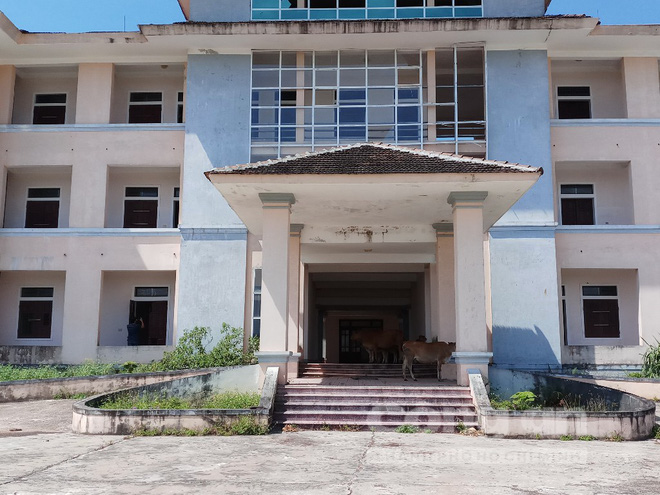 Nhường đất cho công ty Formosa, trụ sở mới trị giá 33 tỷ đồng thành nơi trú ngụ của trâu bò, Bí thư xã nói gì? - 1 Nhường đất cho công ty Formosa, trụ sở mới trị giá 33 tỷ đồng thành nơi trú ngụ của trâu bò, Bí thư xã nói gì? - 1