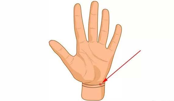 Đoán định hậu vận giàu sang qua đường chỉ cổ tay - 2 Đoán định hậu vận giàu sang qua đường chỉ cổ tay - 2
