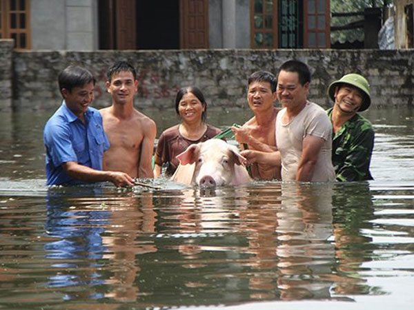 15+ Thời Tiết Chương Mỹ Hà Nội Hôm Nay Gif