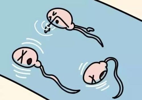 6 'sát thủ' của tinh trùng cản trở quá trình thụ thai, một thứ đấng mày râu nào cũng có - 1 6 'sát thủ' của tinh trùng cản trở quá trình thụ thai, một thứ đấng mày râu nào cũng có - 1