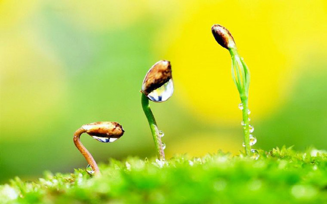 42 bí quyết sống khỏe mạnh hữu ích khiến ai cũng tâm đắc: Đọc một lần, ứng dụng cả đời! - 3 42 bí quyết sống khỏe mạnh hữu ích khiến ai cũng tâm đắc: Đọc một lần, ứng dụng cả đời! - 3