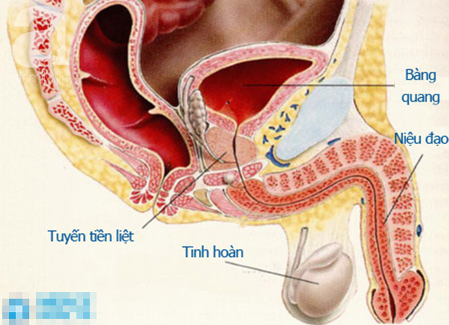 'Tự sướng' quá đà: 2 thanh niên lĩnh hậu quả ngay trước ngày cưới và bác sỹ điều trị cũng phải 'bó tay' - 2 'Tự sướng' quá đà: 2 thanh niên lĩnh hậu quả ngay trước ngày cưới và bác sỹ điều trị cũng phải 'bó tay' - 2