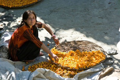 Bộ lạc ở Pakistan có nhiều phụ nữ đẹp nhất thế giới - 1 Bộ lạc ở Pakistan có nhiều phụ nữ đẹp nhất thế giới - 1