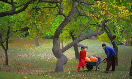 Bộ lạc ở Pakistan có nhiều phụ nữ đẹp nhất thế giới - 2 Bộ lạc ở Pakistan có nhiều phụ nữ đẹp nhất thế giới - 2