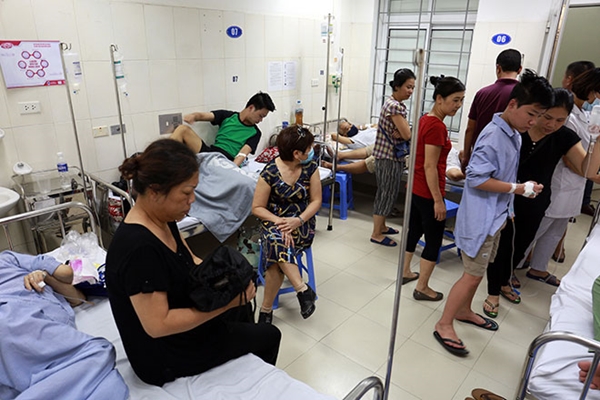 Hà Nội: Đã có hơn 950 người mắc sốt xuất huyết Hà Nội: Đã có hơn 950 người mắc sốt xuất huyết