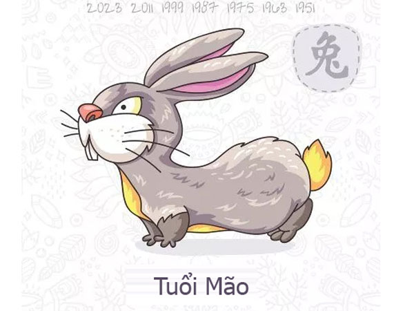 Tuổi Mão năm Kỷ Hợi Tuổi Mão năm Kỷ Hợi