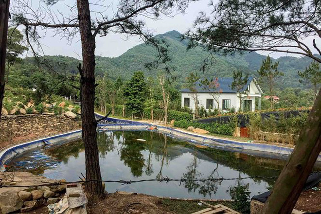 Thêm loạt biệt thự 'xẻ' đất rừng Sóc Sơn bất động sau lệnh cưỡng chế - 5 Thêm loạt biệt thự 'xẻ' đất rừng Sóc Sơn bất động sau lệnh cưỡng chế - 5