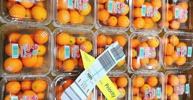 Những món ăn 'đắt xắt ra miếng' giới nhà giàu Việt săn lùng trong tết Kỷ Hợi Những món ăn 'đắt xắt ra miếng' giới nhà giàu Việt săn lùng trong tết Kỷ Hợi