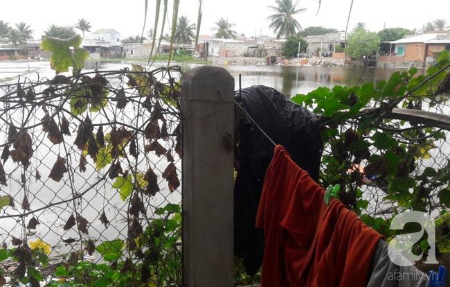Người vợ bị chồng dùng xăng đốt vì níu kéo tình cảm không thành: 'Tết này em được về với con rồi' - 10 Người vợ bị chồng dùng xăng đốt vì níu kéo tình cảm không thành: 'Tết này em được về với con rồi' - 10