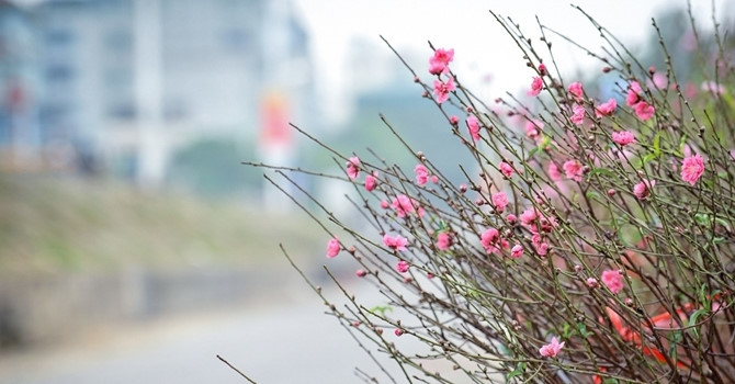 Danh sách ngày đẹp khai trương, mở hàng hút tài lộc 2019 Danh sách ngày đẹp khai trương, mở hàng hút tài lộc 2019