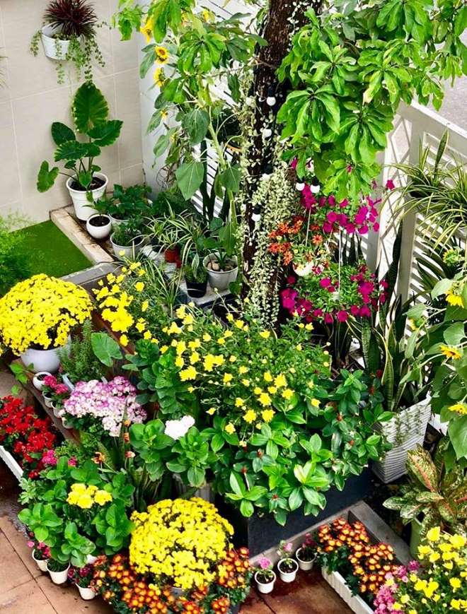 Không chỉ 'giỏi việc nước' mà MC Quyền Linh còn 'đảm việc nhà' khi đích thân vào bếp nấu đồ ăn cho vợ mỗi ngày - 14 Không chỉ 'giỏi việc nước' mà MC Quyền Linh còn 'đảm việc nhà' khi đích thân vào bếp nấu đồ ăn cho vợ mỗi ngày - 14