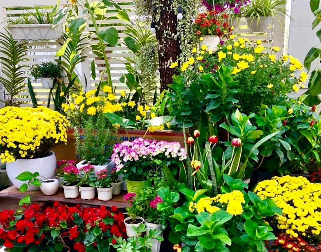 Không chỉ 'giỏi việc nước' mà MC Quyền Linh còn 'đảm việc nhà' khi đích thân vào bếp nấu đồ ăn cho vợ mỗi ngày - 13 Không chỉ 'giỏi việc nước' mà MC Quyền Linh còn 'đảm việc nhà' khi đích thân vào bếp nấu đồ ăn cho vợ mỗi ngày - 13