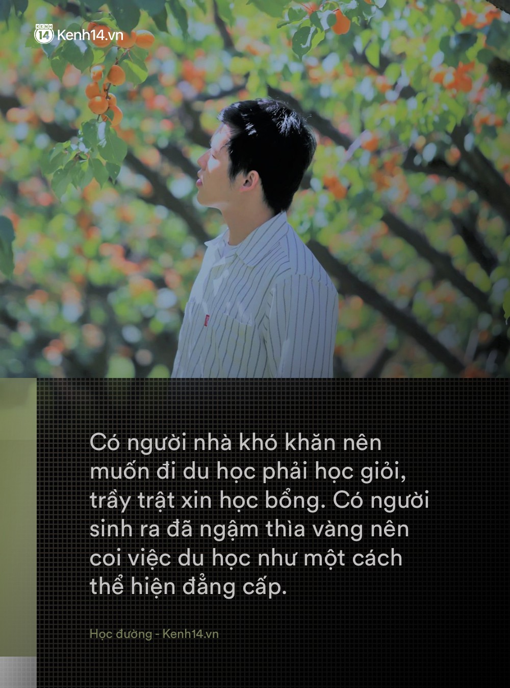 Tiến sĩ Việt tại Anh: Du học về nước thất nghiệp là do bản thân kém cỏi, nghĩ mình đủ giỏi sao không tự mở công ty? - 1 Tiến sĩ Việt tại Anh: Du học về nước thất nghiệp là do bản thân kém cỏi, nghĩ mình đủ giỏi sao không tự mở công ty? - 1