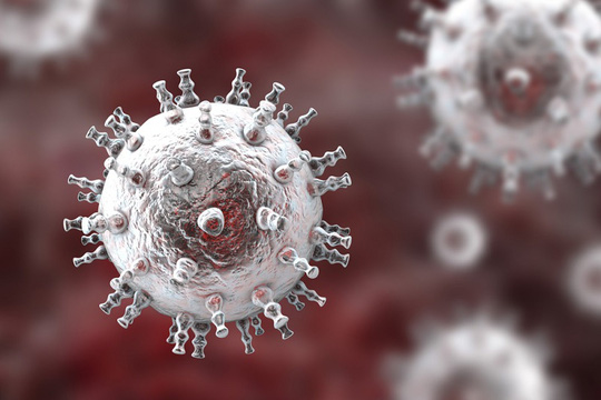 2 virus bệnh tình dục 'giao phối', đe dọa sinh ra siêu bệnh mới 2 virus bệnh tình dục 'giao phối', đe dọa sinh ra siêu bệnh mới